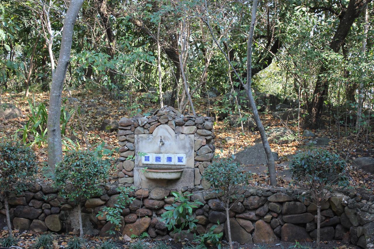 Ashbourne Country Escape Hazyview Bed & Breakfast ภายนอก รูปภาพ